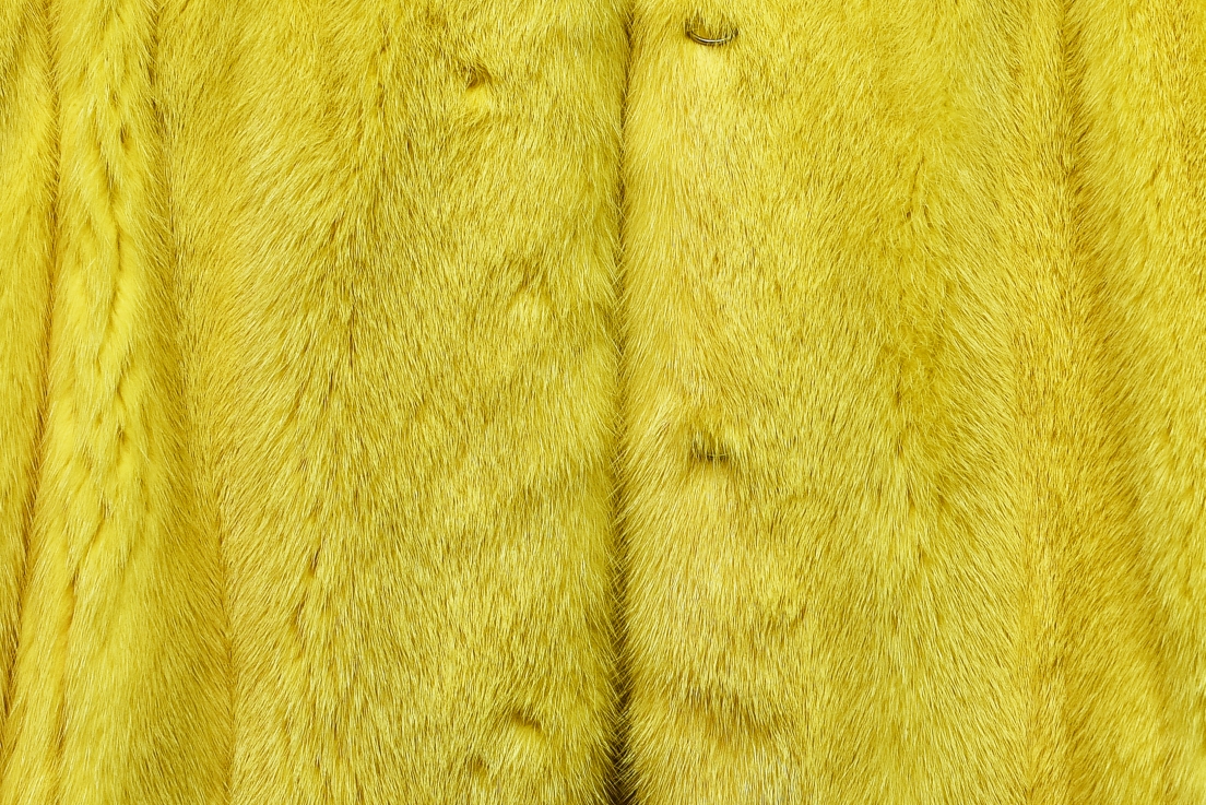 [台北萬華] 成旺皮衣皮草精品特賣會，30年老店歲末破盤出清，帥氣男女皮衣5800起，狐狸毛背心4900、皮草同步優惠中！ @尼豪的美食旅行手札