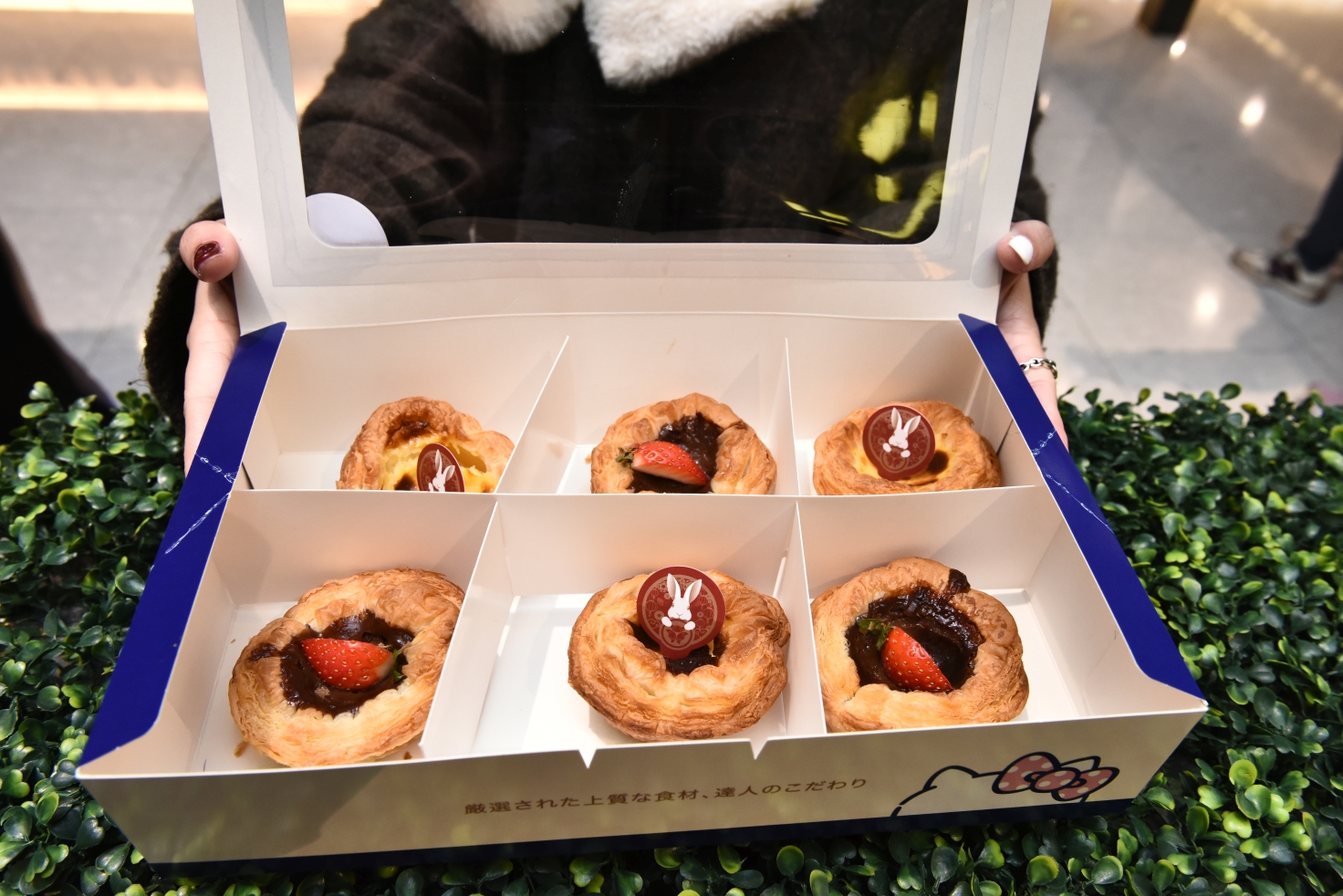 [桃園中壢] 玉兔迎春添新象，新春福氣攏厚力，桃園中壢美食集中地，快來大江購物中心沾沾春節喜氣！ @尼豪的美食旅行手札