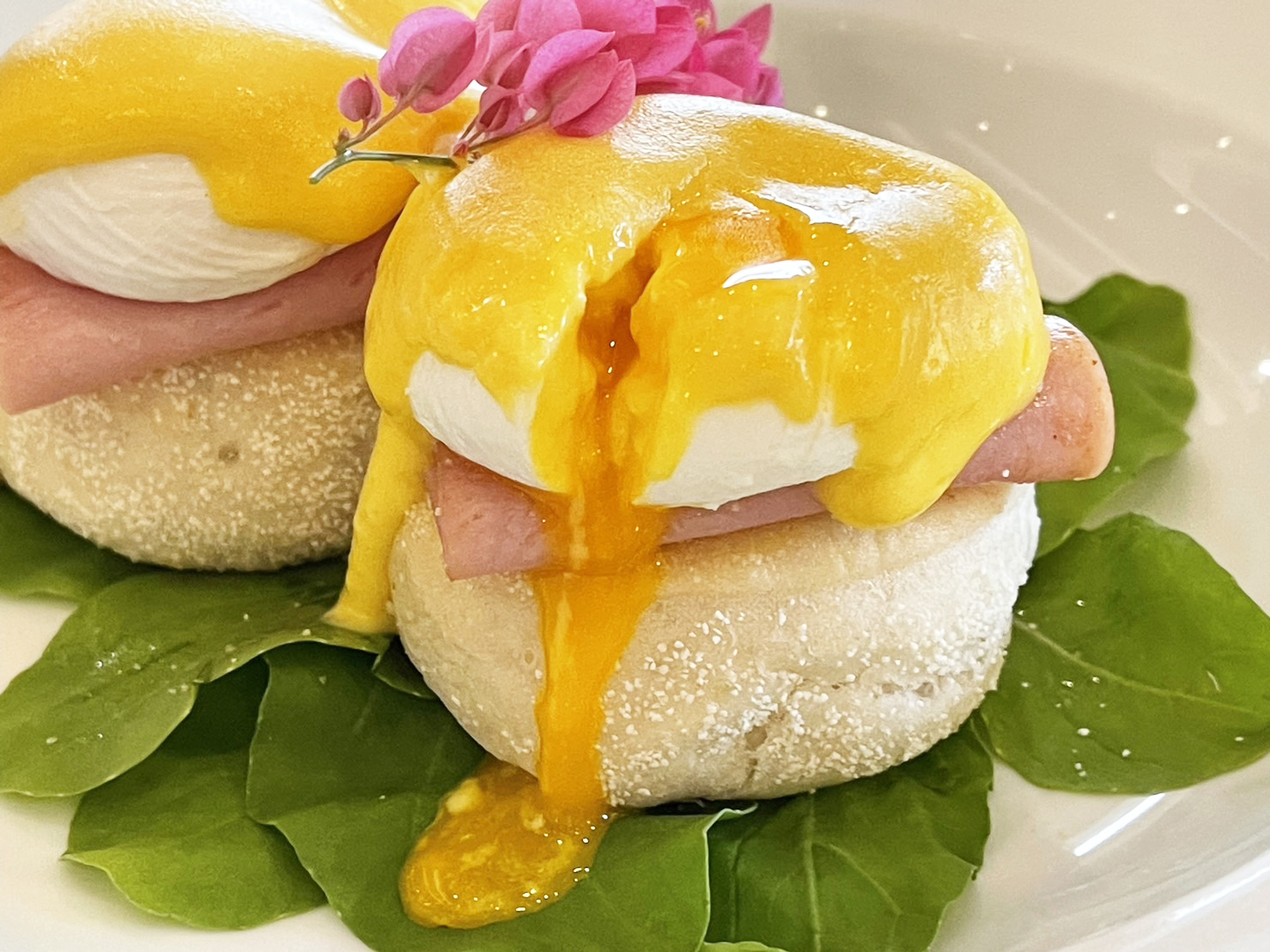 位置絕佳的Avani Pattaya Resort，緊鄰芭達雅海灘、行人徒步區，做SPA吃美食度假超CHILL！ @尼豪的美食旅行手札