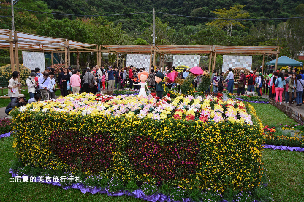 [台北士林]  2014士林官邸菊展 愛耀菊時 士林官邸菊花季菊花展 台北景點推薦遊記 @尼豪的美食旅行手札