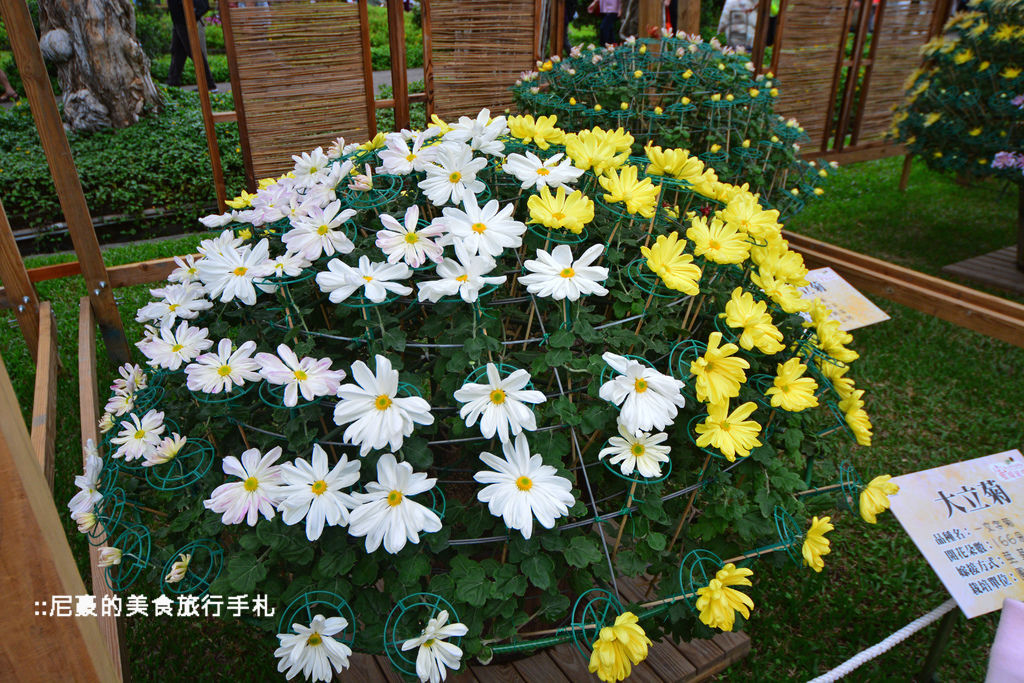 [台北士林]  2014士林官邸菊展 愛耀菊時 士林官邸菊花季菊花展 台北景點推薦遊記 @尼豪的美食旅行手札