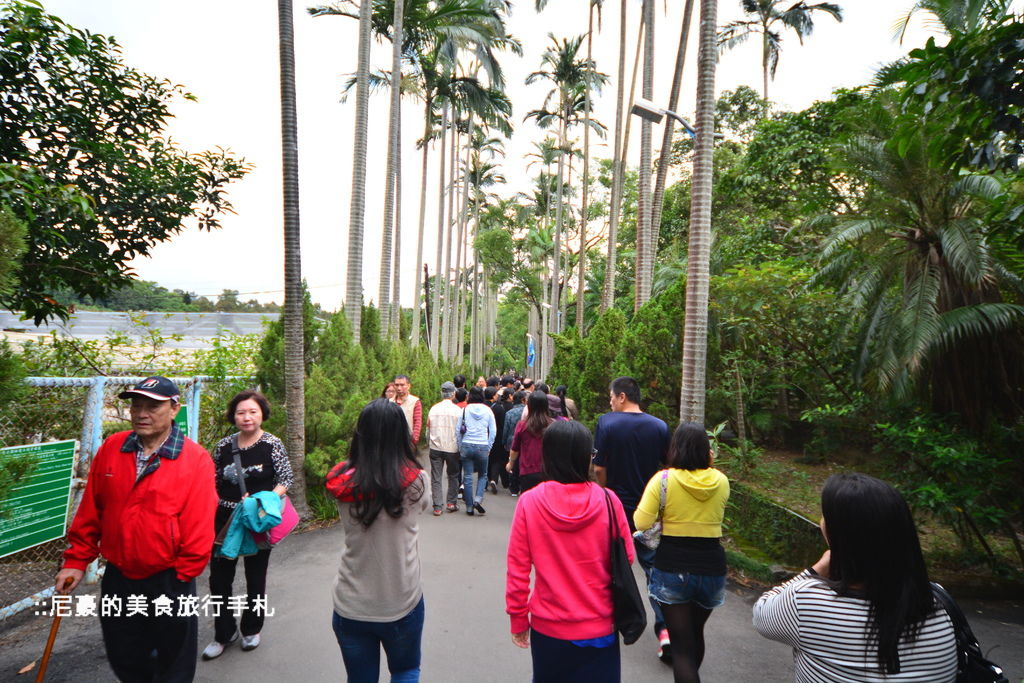 [台北士林]  2014士林官邸菊展 愛耀菊時 士林官邸菊花季菊花展 台北景點推薦遊記 @尼豪的美食旅行手札