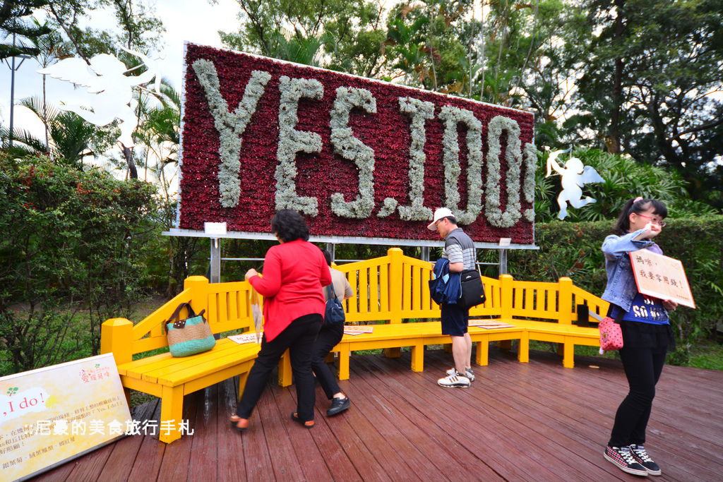 [台北士林]  2014士林官邸菊展 愛耀菊時 士林官邸菊花季菊花展 台北景點推薦遊記 @尼豪的美食旅行手札