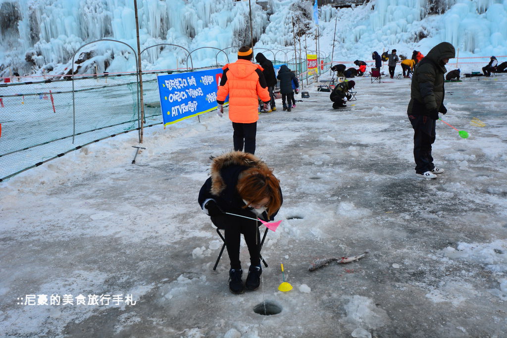 [韓國京畿道] 清平冰釣-清平雪橇鱒魚冰魚節 體驗冰上釣魚的樂趣 韓國冰釣推薦 @尼豪的美食旅行手札